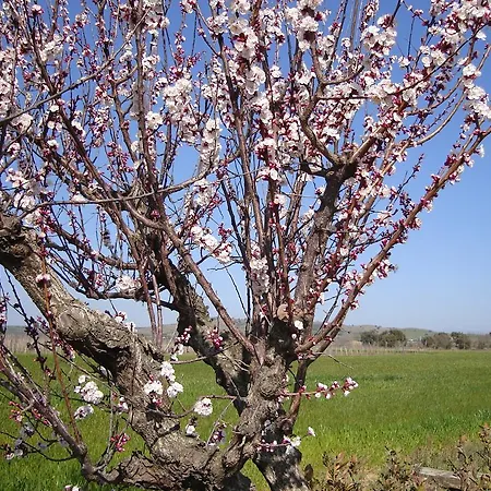 Podere Cirene *