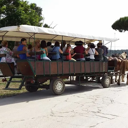Farm stay Podere Cirene *