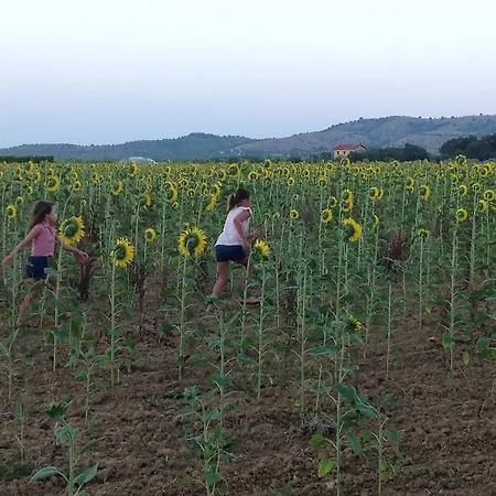 Podere Cirene * Rispescia
