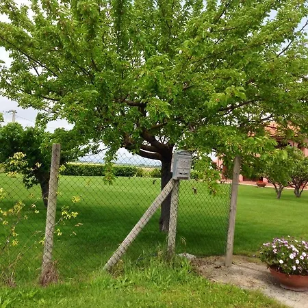 Podere Cirene 里斯佩施雅